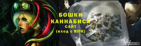 молекула духа Лабытнанги