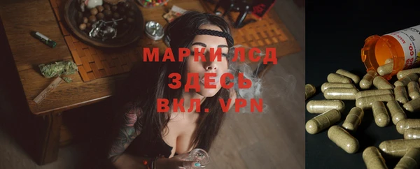 молекула духа Лабытнанги