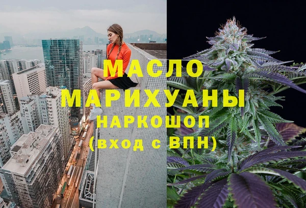 молекула духа Лабытнанги