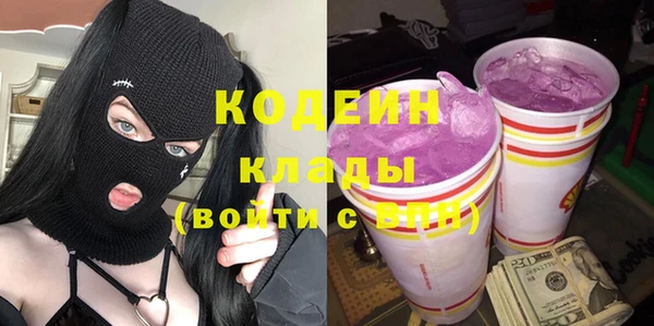 молекула духа Лабытнанги
