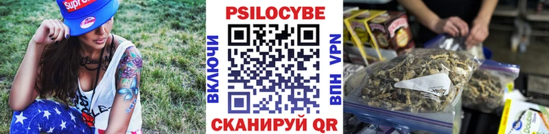 KRAKEN ТОР Рубцовск Галлюциногенные грибы MAGIC MUSHROOMS