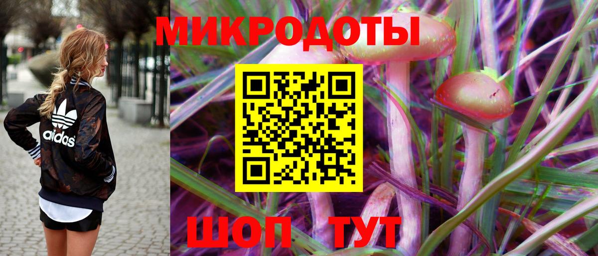 Галлюциногенные грибы Magic Shrooms  Рубцовск 