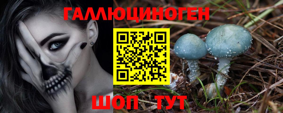 Псилоцибиновые грибы Psilocybine cubensis Рубцовск